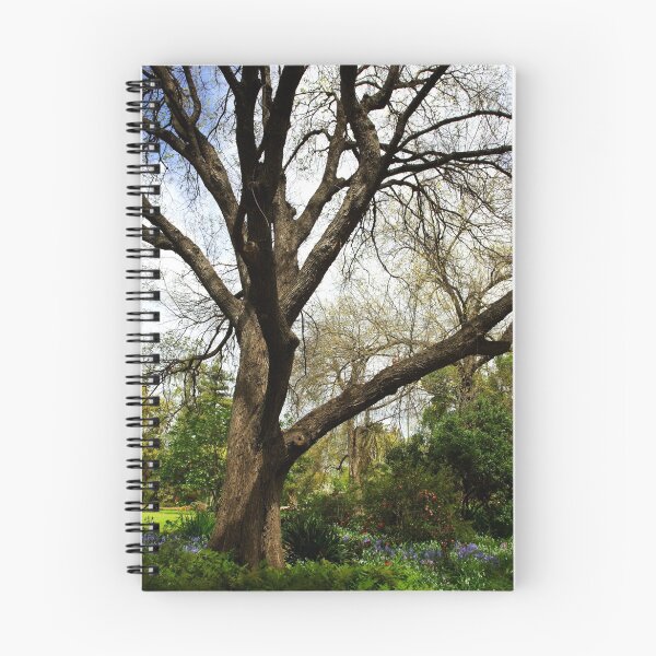 Item preview, Albury Botanic Gardens designed and sold by Darren Stones.