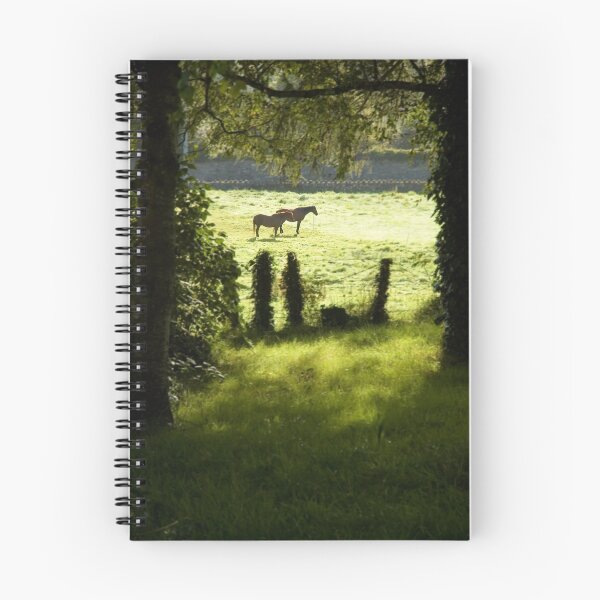 Item preview, Sunlight and horses designed and sold by Orla Flanagan.