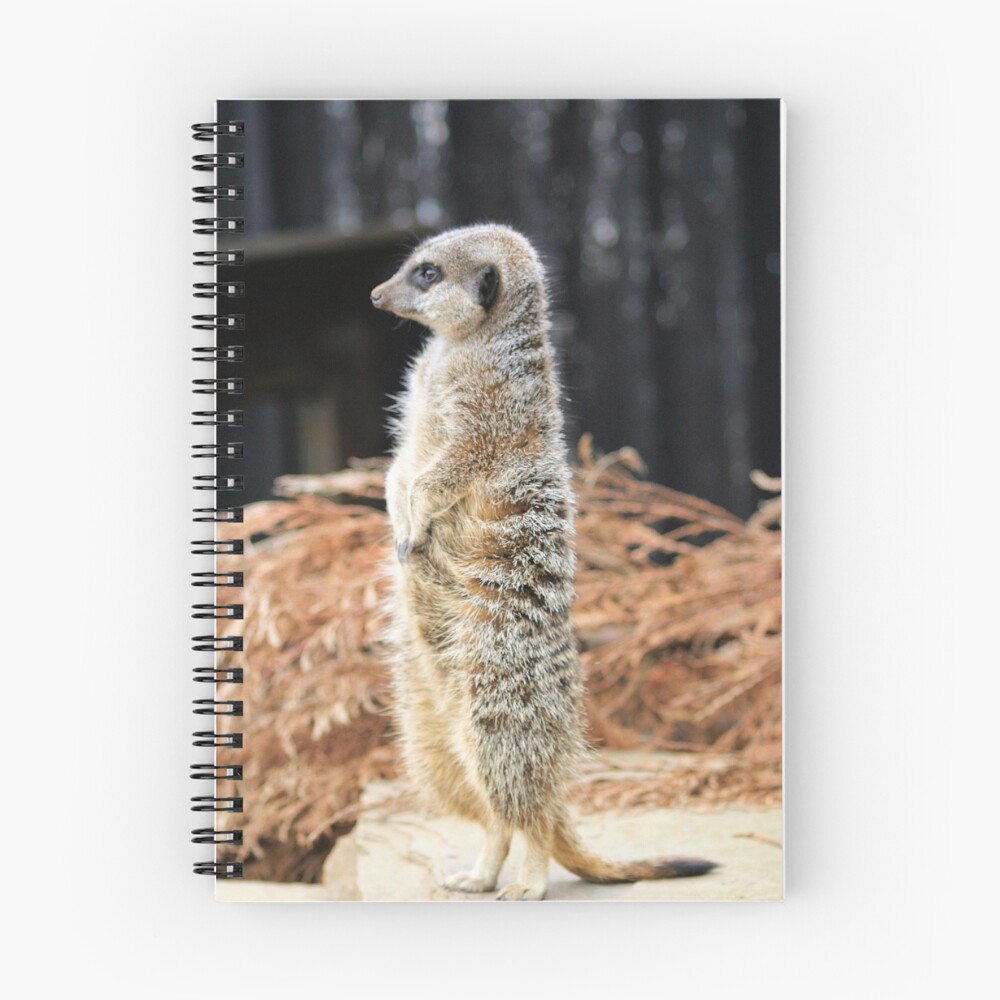 Item preview, Spiral Notebook designed and sold by Livewire.
