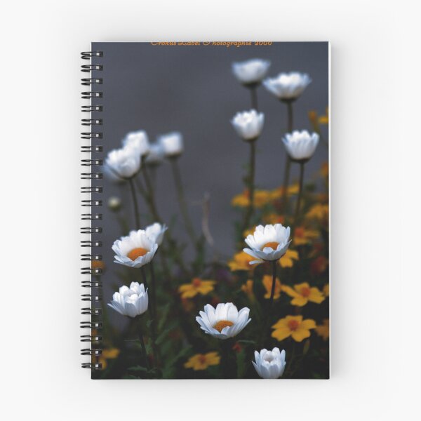 Item preview, Marguerites designed and sold by Marie-Suzanne Labelle.