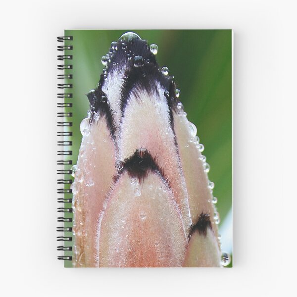 Item preview, Protea designed and sold by Sara Lamond.