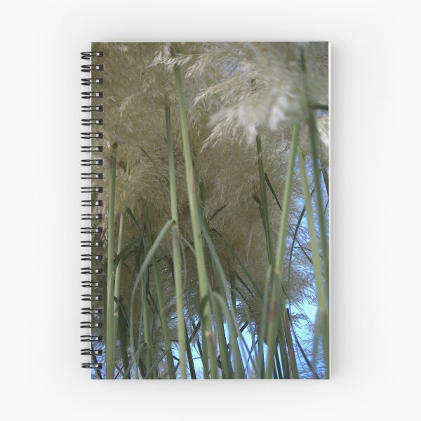 Item preview, Pampas designed and sold by John Thurgood.