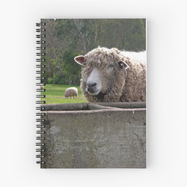 Item preview, The Sheep designed and sold by RosePhotography.