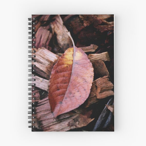 Artikelvorschau, Herbst entworfen und verkauft von Kylie Reid.