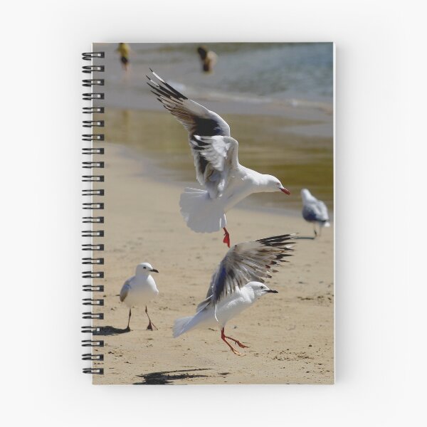 Item preview, Dance of the Sugarplum "Seagulls" designed and sold by Kim Roper.