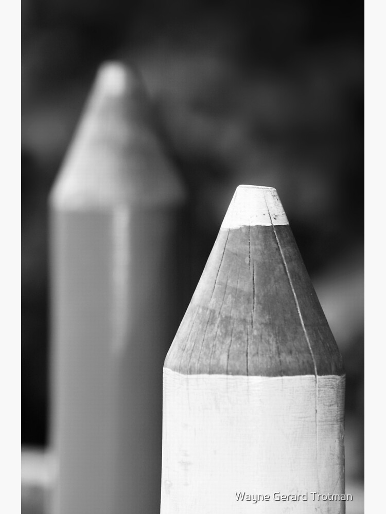 Black & White Pencils by redmoondragon