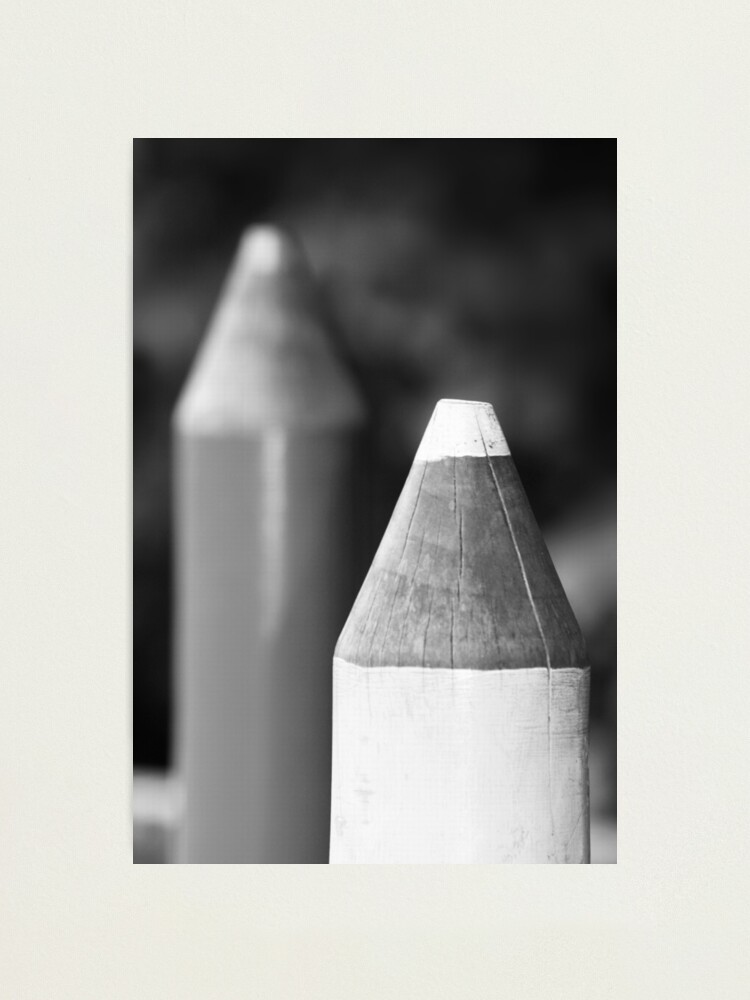Alternate view of Black & White Pencils Photographic Print