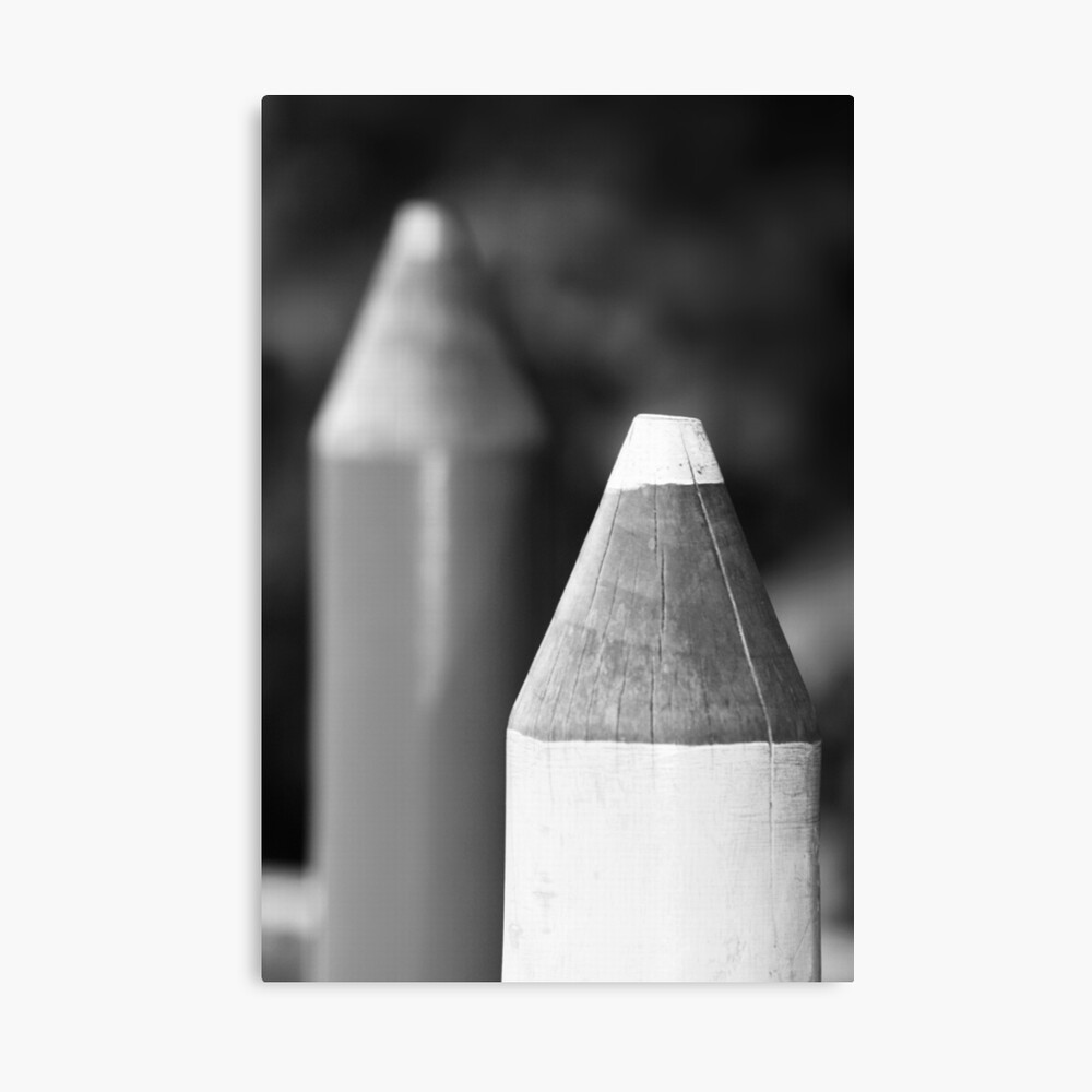 Black & White Pencils Canvas Print