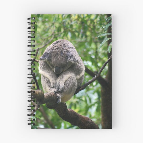 Item preview, Koala in rain designed and sold by Sara Lamond.