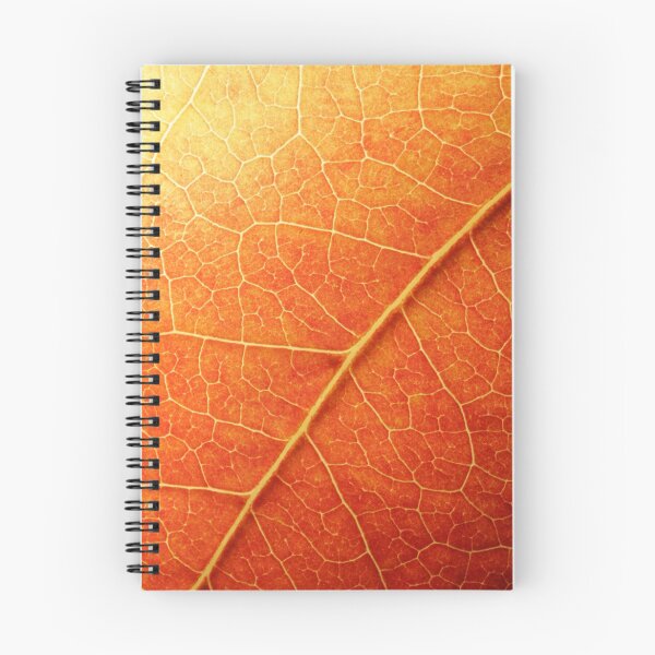 Item preview,  Autumn Foliage designed and sold by Christophe Testi.