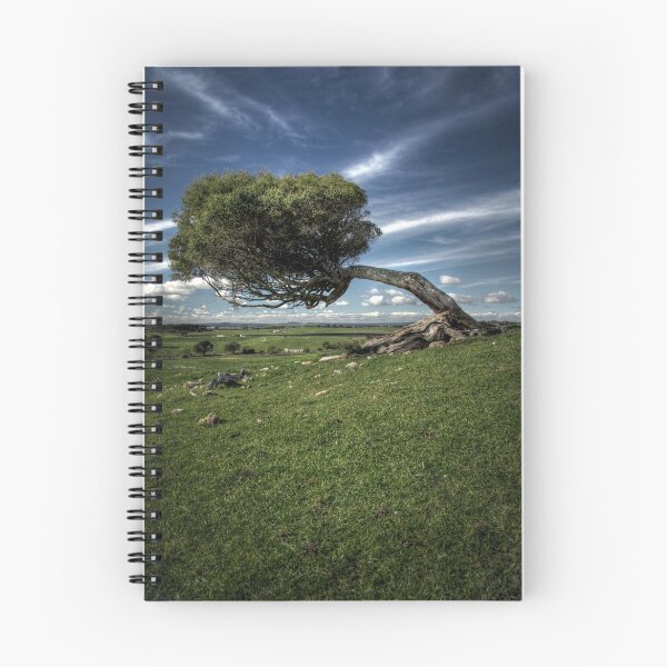 Item preview, Windswept designed and sold by SD Smart.
