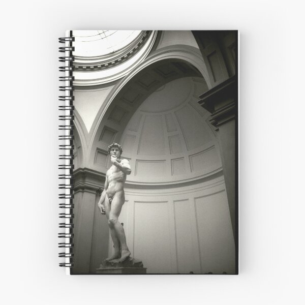Item preview, Michaelangelo's David designed and sold by laurencedodd.