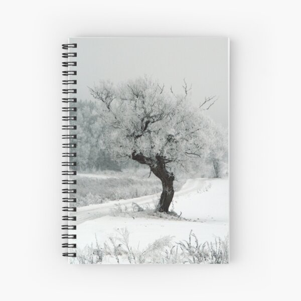 One day Spiral Notebook