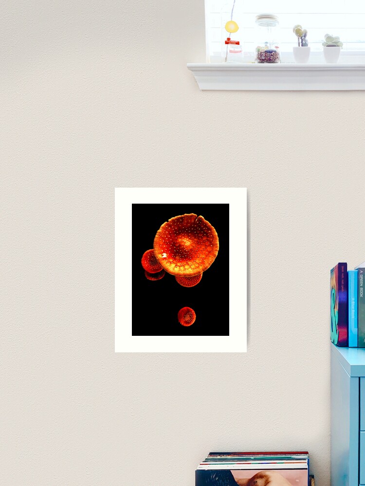 Thumbnail 2 of 3, Art Print, Fly Agaric designed and sold by Coigach.