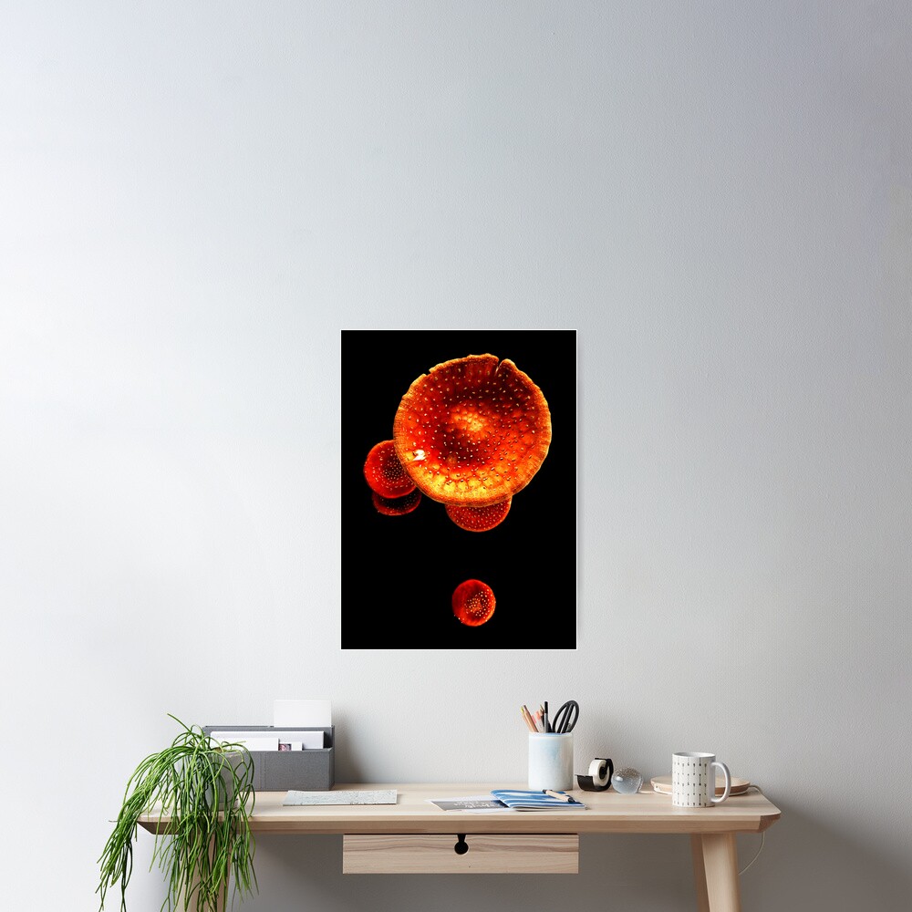 Item preview, Poster designed and sold by Coigach.