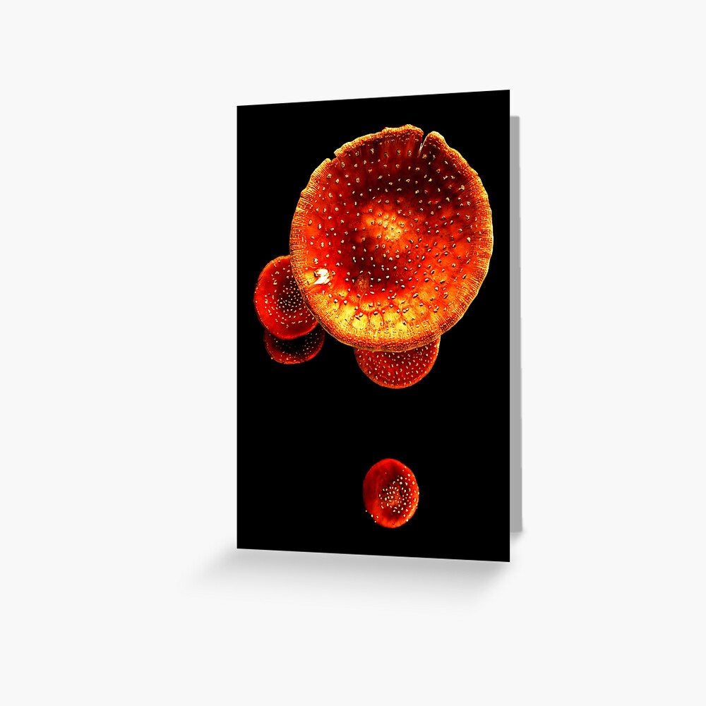 Item preview, Greeting Card designed and sold by Coigach.