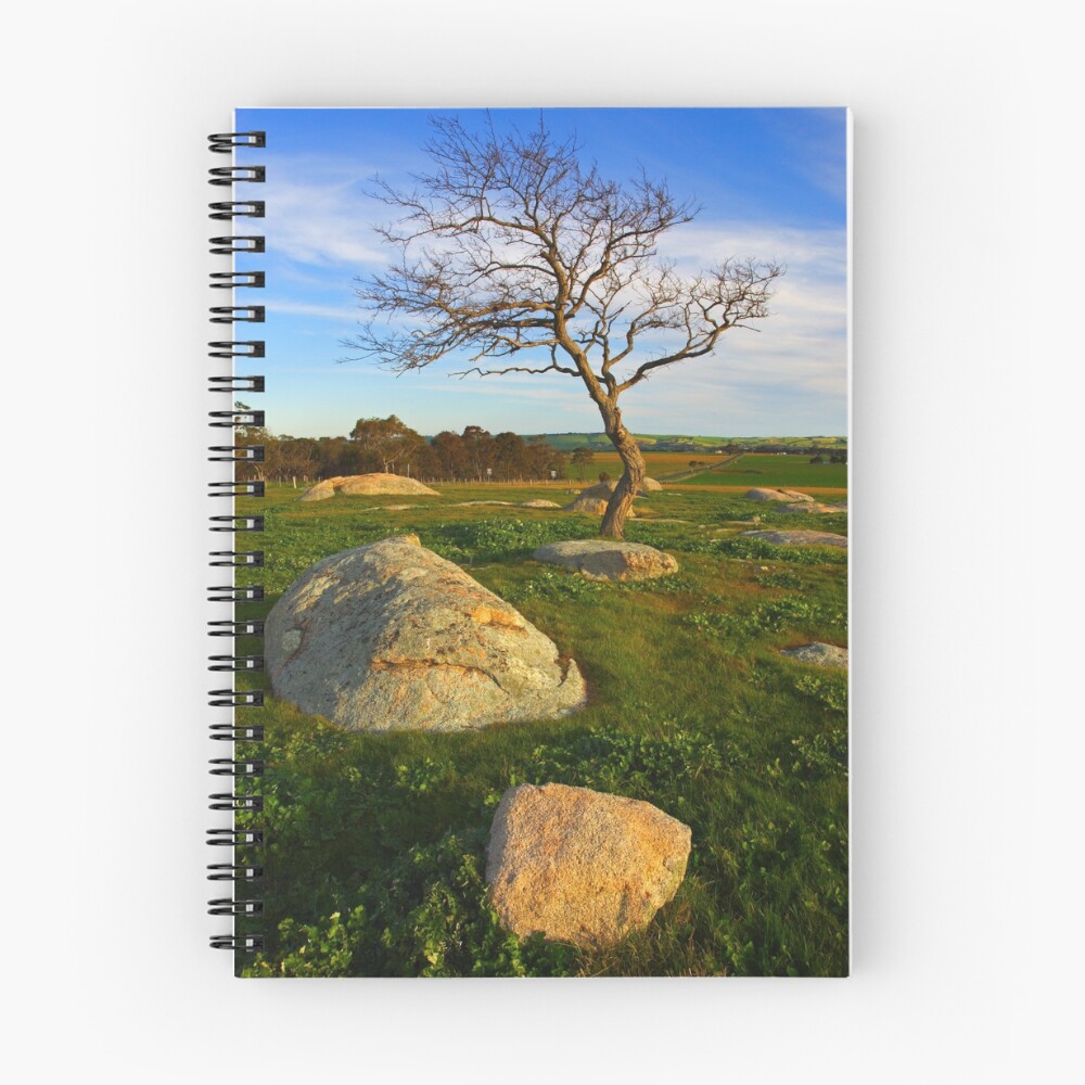 Item preview, Spiral Notebook designed and sold by dgstones.