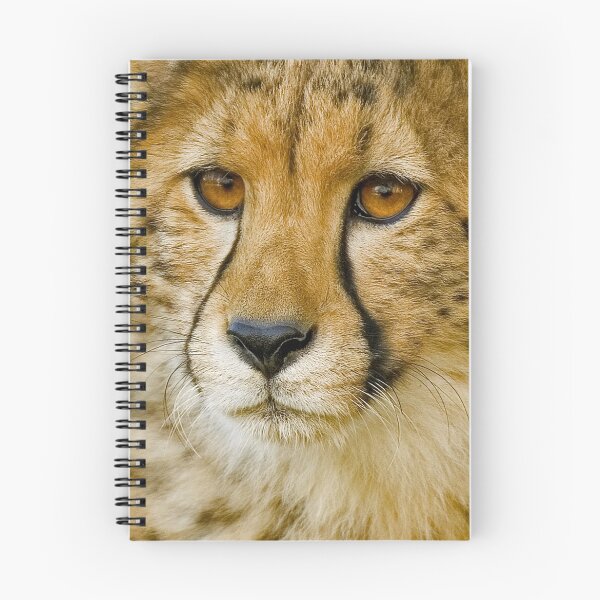 Item preview, Endangered II designed and sold by Mundy Hackett.