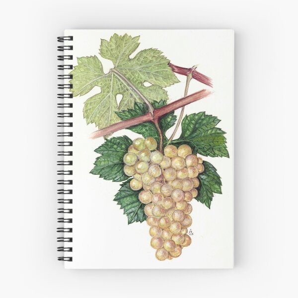 Item preview, Grape - Vitis vinifera designed and sold by Sue Abonyi.