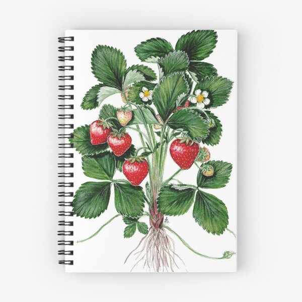 Item preview, Garden Strawberry - Fragaria ananassa designed and sold by Sue Abonyi.
