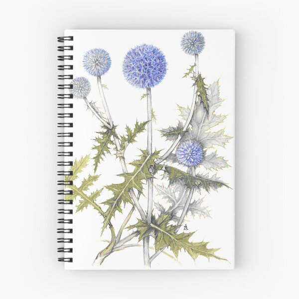 Item preview, Globe Thistle - Echinops ruthenicus designed and sold by Sue Abonyi.