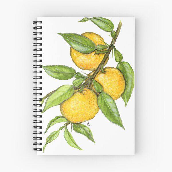 Item preview, Yuzu - Citrus junos designed and sold by Sue Abonyi.
