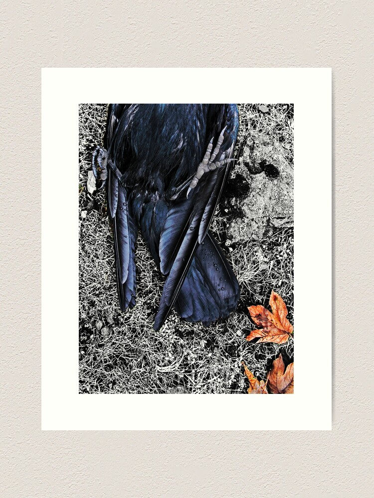 Thumbnail 1 of 3, Art Print, Crow Foot1 designed and sold by Coigach.