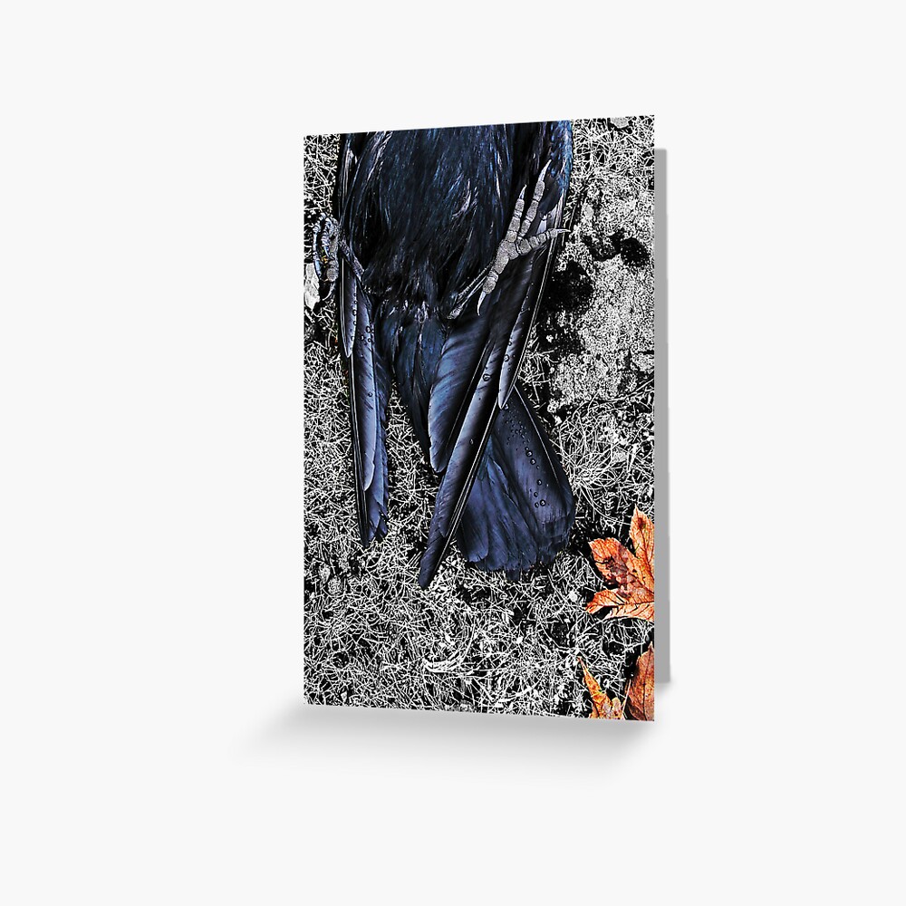 Item preview, Greeting Card designed and sold by Coigach.