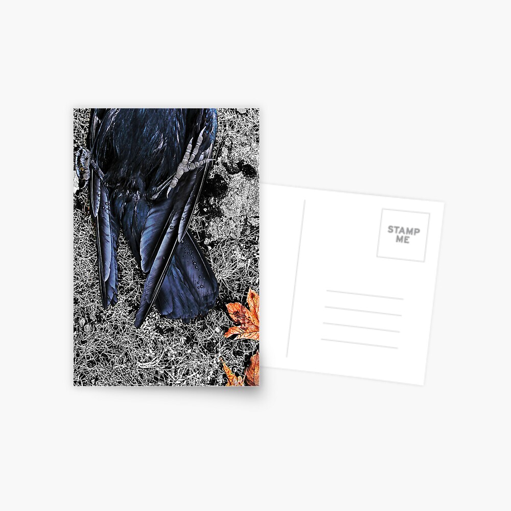 Item preview, Postcard designed and sold by Coigach.