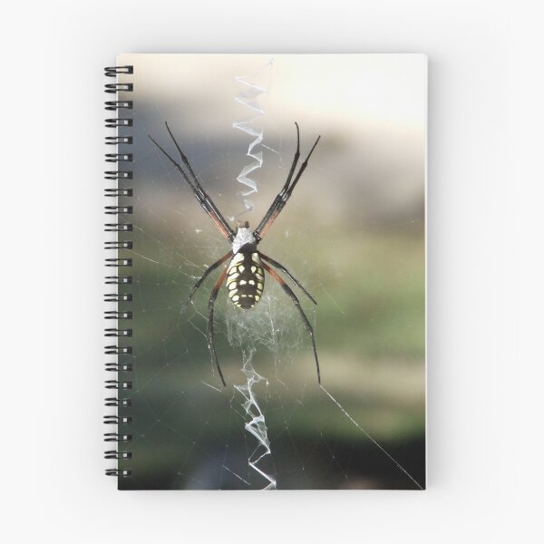 Item preview, Along Came A Bigger Spider designed and sold by Suni Pruett.