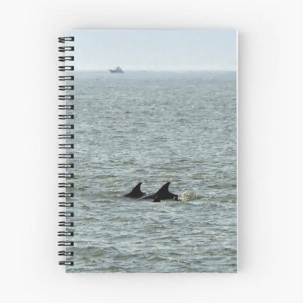 Item preview, Delfines de Cape May designed and sold by AnneRN.