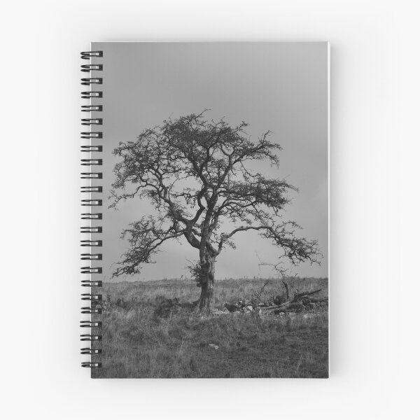 Item preview, Alone...... designed and sold by Dave Warren.