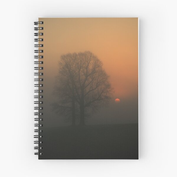 Item preview.