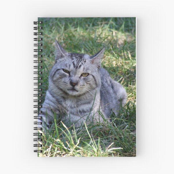 Item preview, Whaaaaaaaat? designed and sold by Suni Pruett.