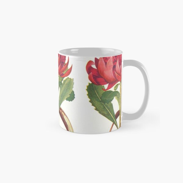 The Australian Flora in Applied Art - The Waratah (White) - Mug Classic Mug