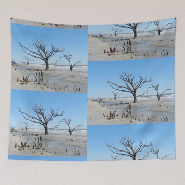 Item preview, Once a Vibrant Maritime Forest, is No More! designed and sold by 2CrabbySisters.