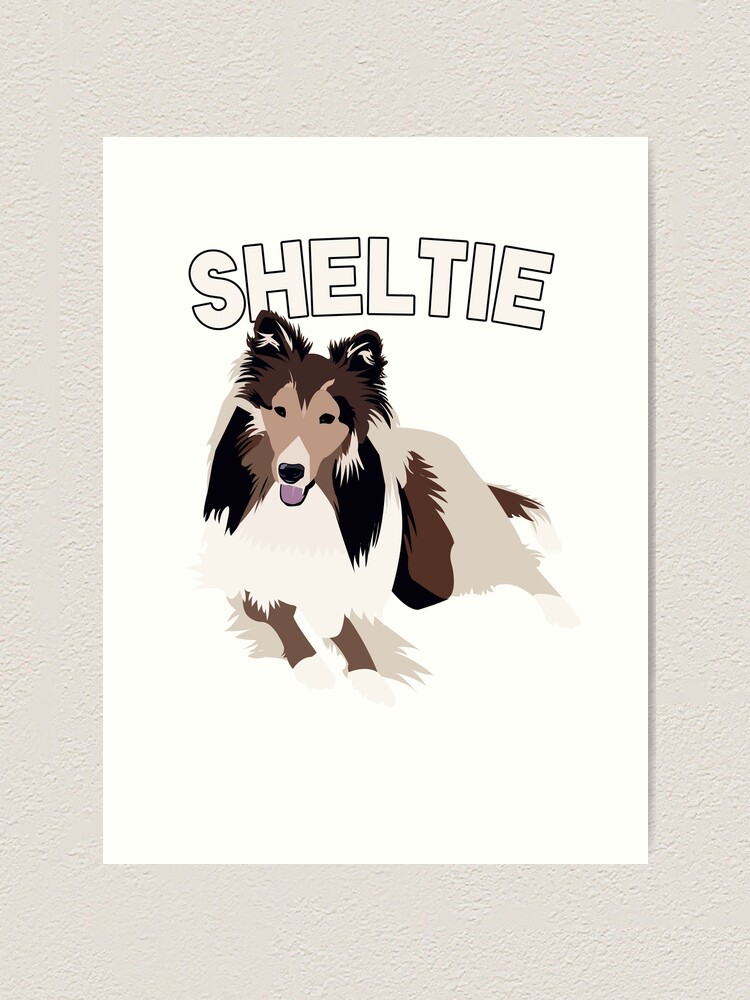 shetland sheepdog drawing