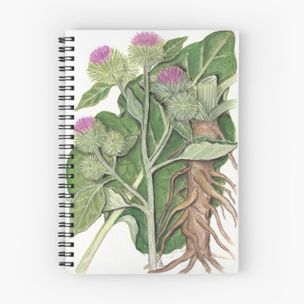 Item preview, Greater burdock - Arctium lappa designed and sold by Sue Abonyi.