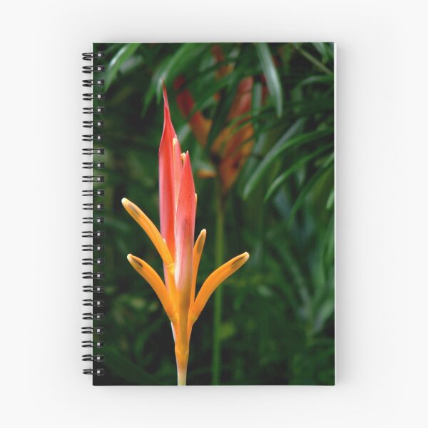 Item preview, Bird of Paradise designed and sold by PixPlanet.