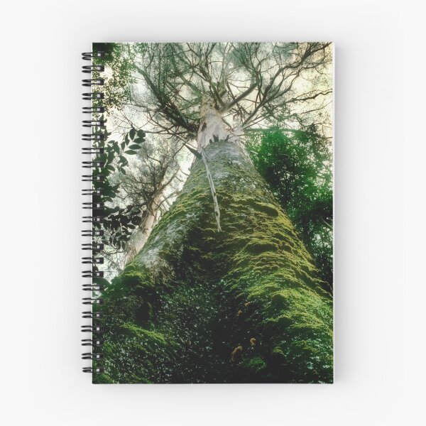 Item preview,  Yarra Ranges NP designed and sold by Ern Mainka.