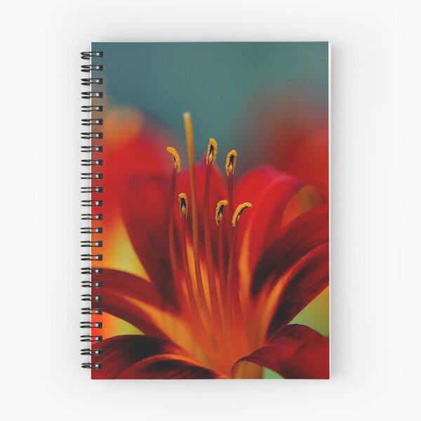 Item preview, Lily designed and sold by Leisa  Hennessy.