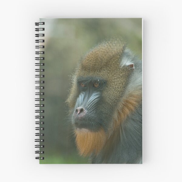 Aperçu de l'œuvre Primate créée et vendue par Douglas Gaston IV.
