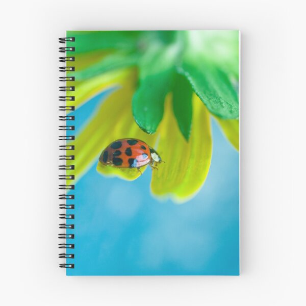 Item preview, Ladybug II designed and sold by Leisa  Hennessy.