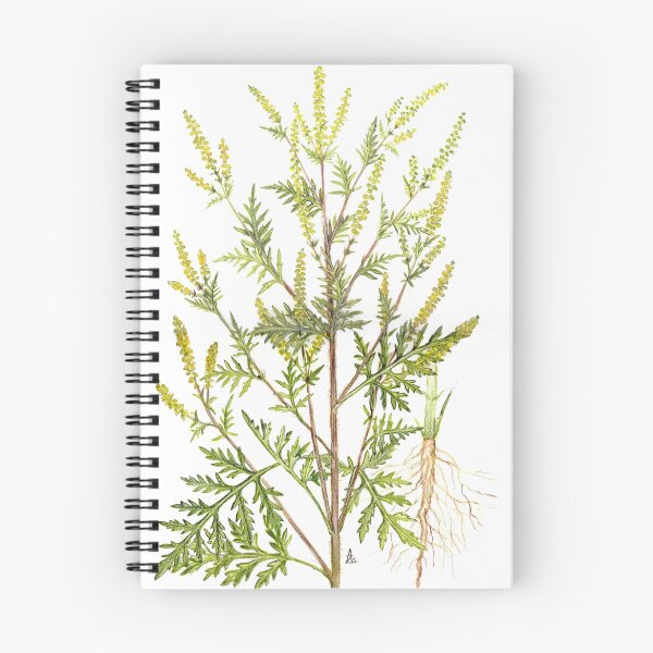 Item preview, Common Ragweed - Ambrosia artemisiifolia designed and sold by Sue Abonyi.