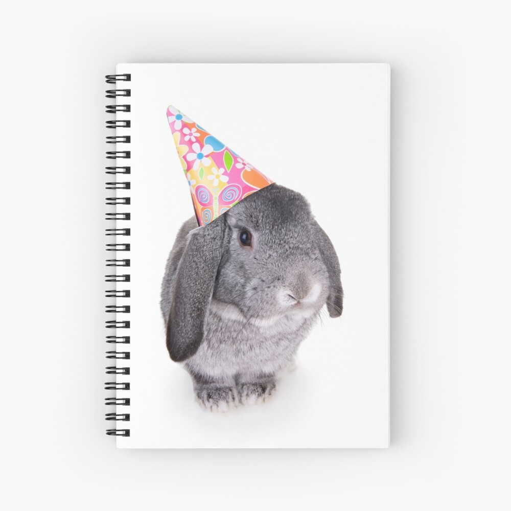 party hats for rabbits