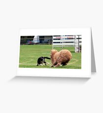 Brake Greeting Card