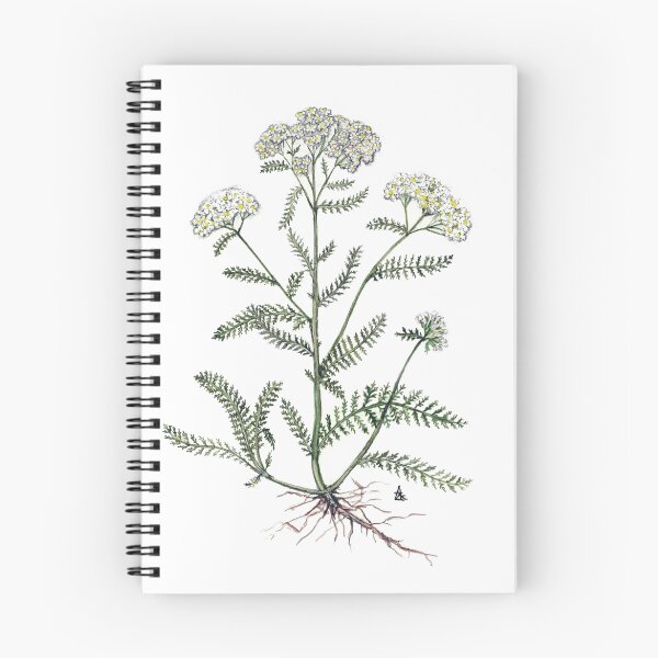Item preview, Yarrow  - Achillea millefolium designed and sold by Sue Abonyi.
