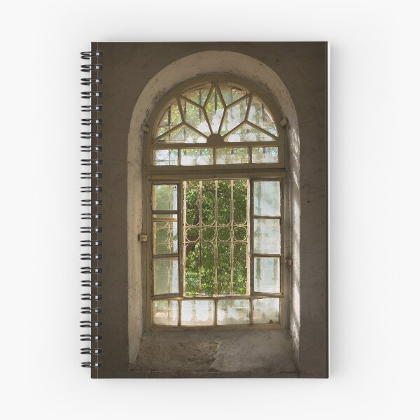 Item preview, WINDOW designed and sold by louise.