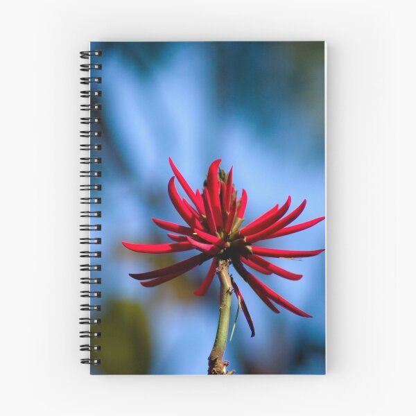 Item preview, Showy Coral Tree flower (Erythrina speciosa) designed and sold by neroli50.