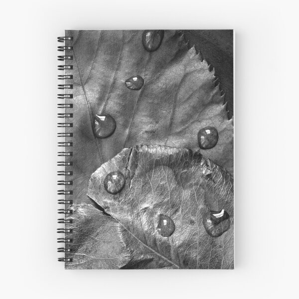 Item preview, Dew designed and sold by Sashy.